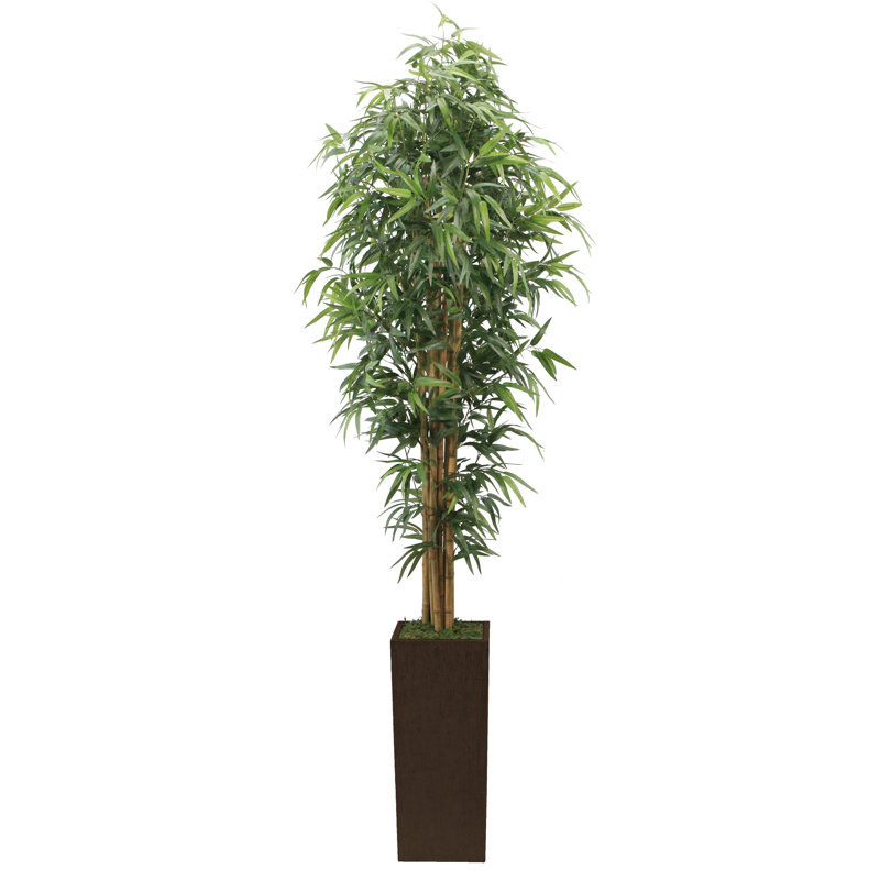 Wayfair Tall High End Realistic Silk Floor Bamboo Tree In Planter