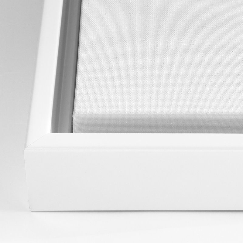 Wayfair " Thicket Wildflowers " By Timothy O' Toole Painting Print