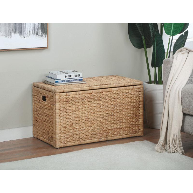 Wayfair Ved Heavy-duty Water Hyacinth Wicker Storage Trunk With Metal Frame