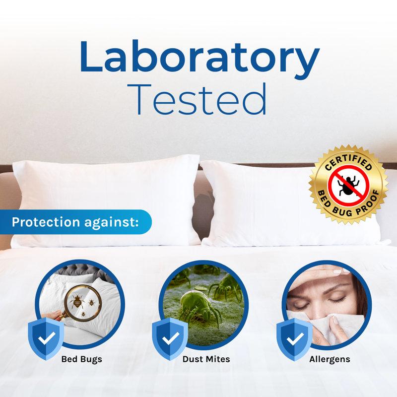 Wayfair Waterproof Zipper Mattress Protector Case Pack