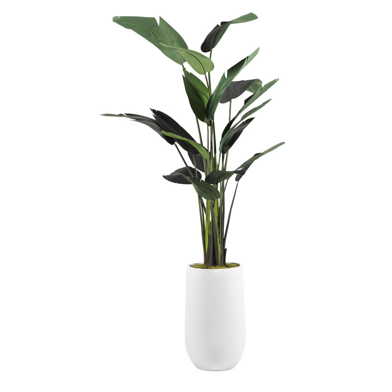Wayfair 108'' Faux Traveler Palm Tree in Planter