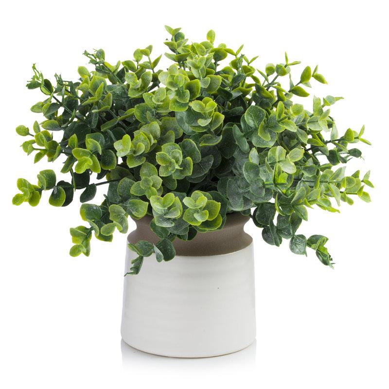 Wayfair 11'' Faux Eucalyptus Plant In Ceramic Pot
