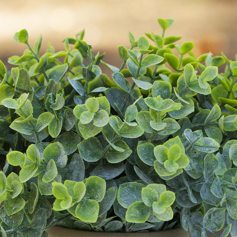 Wayfair 11'' Faux Eucalyptus Plant In Ceramic Pot