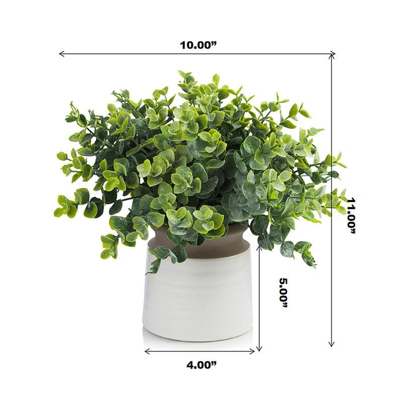 Wayfair 11'' Faux Eucalyptus Plant In Ceramic Pot