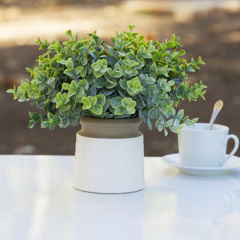Wayfair 11'' Faux Eucalyptus Plant in Ceramic Pot