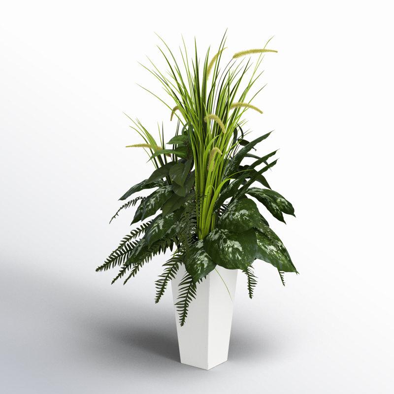 Wayfair 48'' Faux Fern Plant In Ceramic Planter