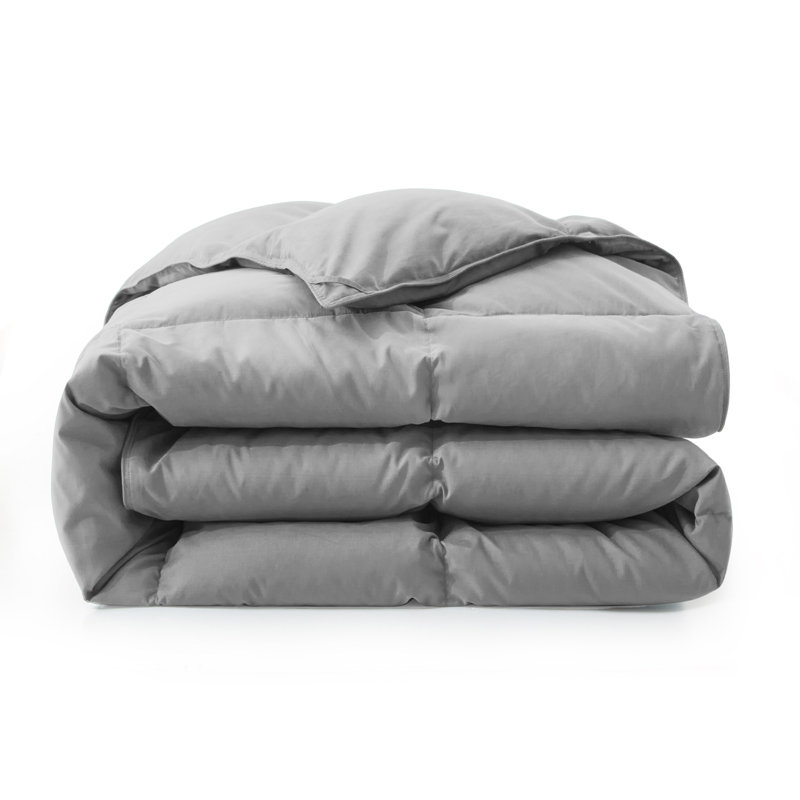 Wayfair 600 Fill Power All Seasons Down Comforter