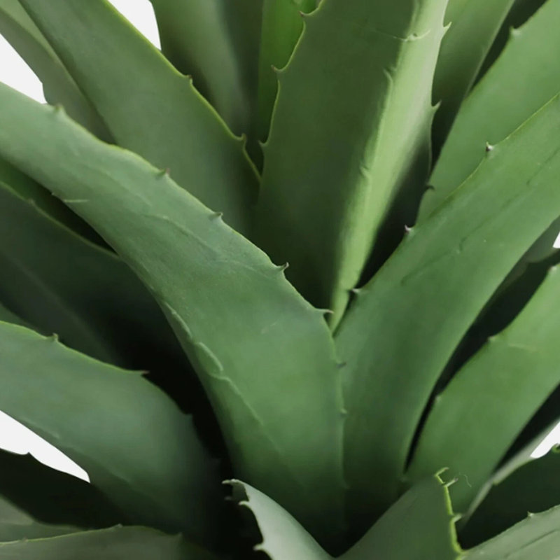 Wayfair Agave Artificial Plant With Pot