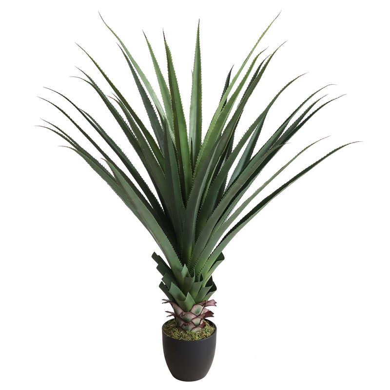 Wayfair Agave Artificial Plant With Pot