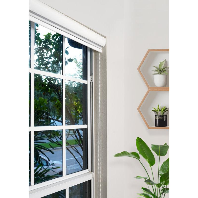 Wayfair Ahyaan Sheer Roller Shade