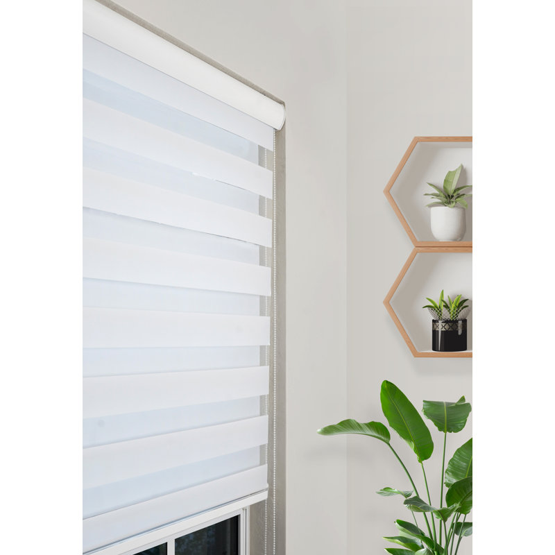 Wayfair Ahyaan Sheer Roller Shade