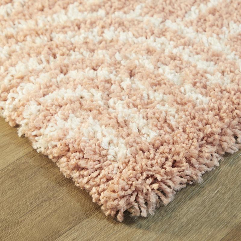 Wayfair Alec Rainbow Shag Area Rug