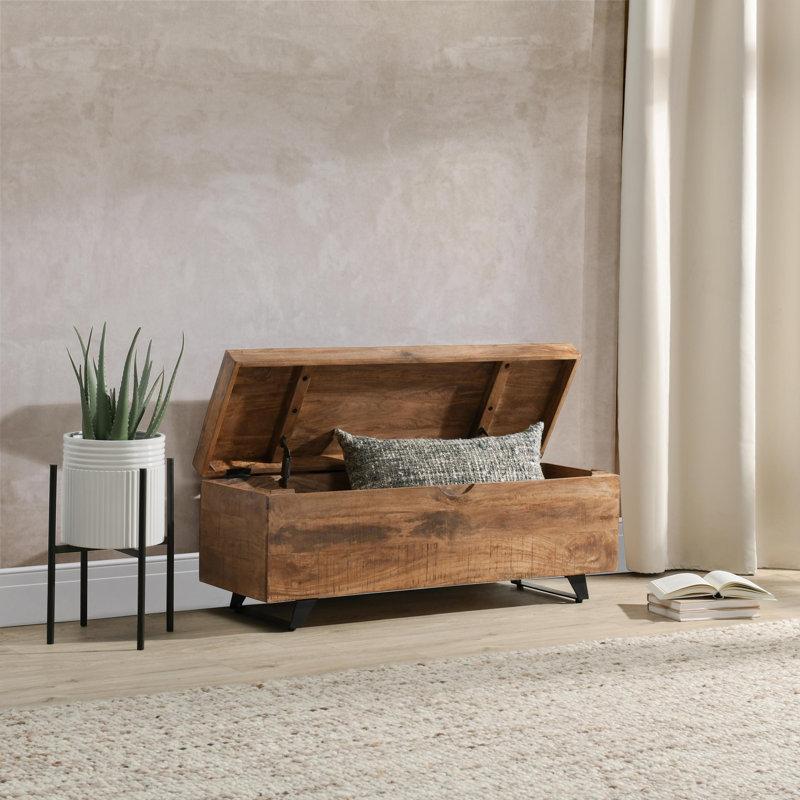 Wayfair Balderas Coffee Table Trunk