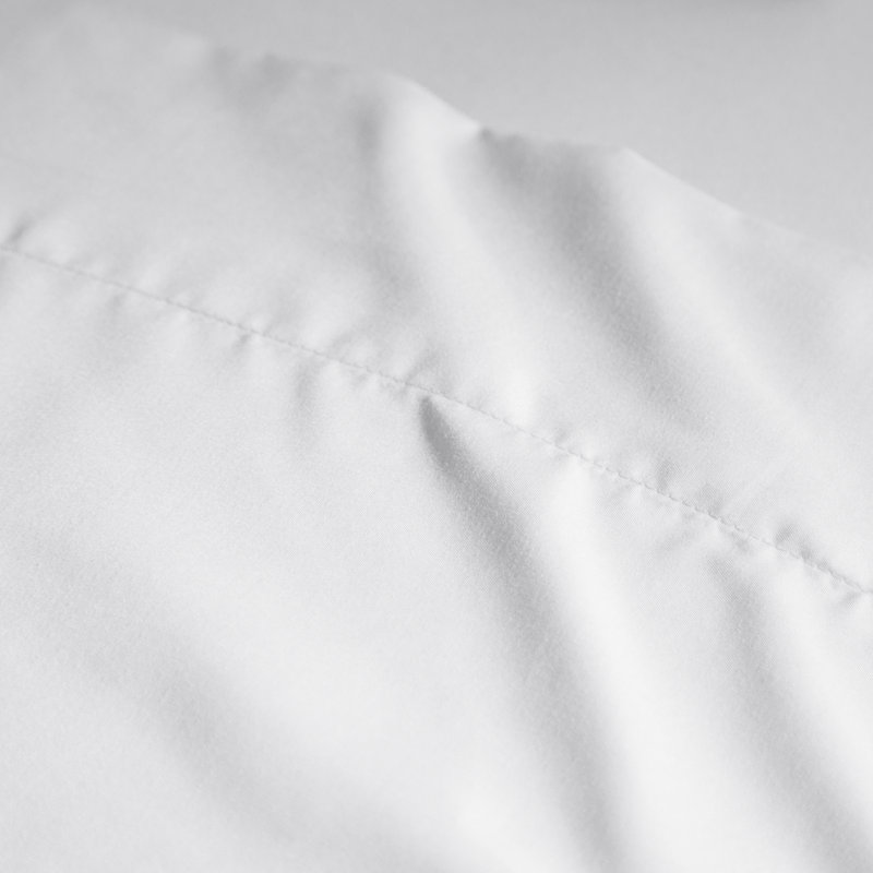 Wayfair Wayfair Basics® 1800 Series Soft Microfiber Sheet Set