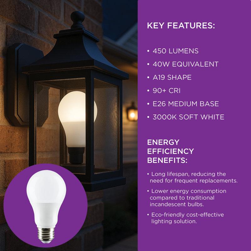 Wayfair Wayfair Basics® 5.5 Watt (40 Watt Equivalent) A19 LED Light Bulb Warm White E26/Medium (Standard) Base (Set Of 4)