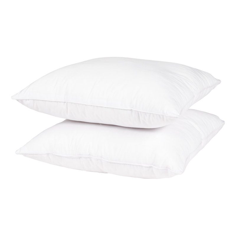 Wayfair Wayfair Basics® Didomenico Euro Square Pillow Insert (Set Of 2)