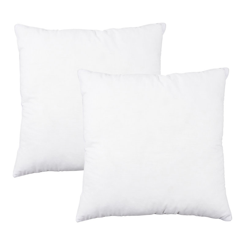 Wayfair Wayfair Basics® Didomenico Euro Square Pillow Insert (Set Of 2)