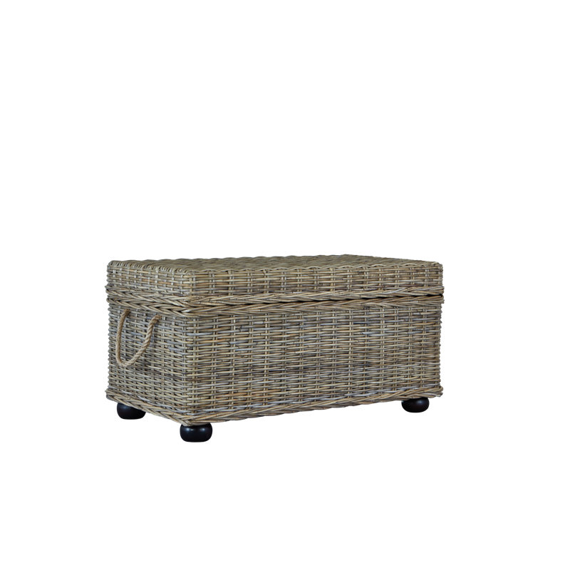 Wayfair Beattie Wicker Trunk