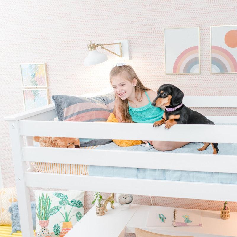 Wayfair Camille Twin Loft Loft Bed With Shelves