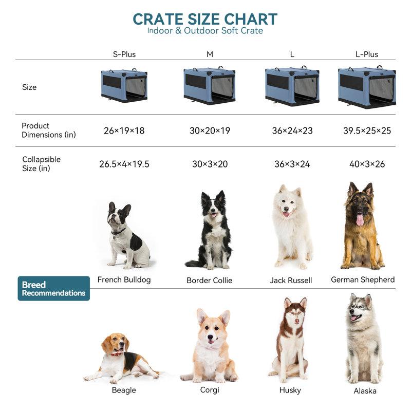 Wayfair Collapsible Soft-Sided Crate With 3 Doors
