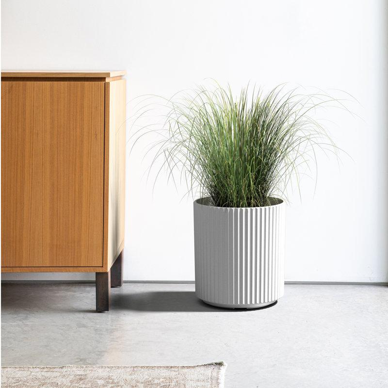 Wayfair Demi Series Round Planter