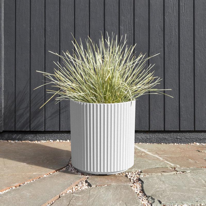 Wayfair Demi Series Round Planter