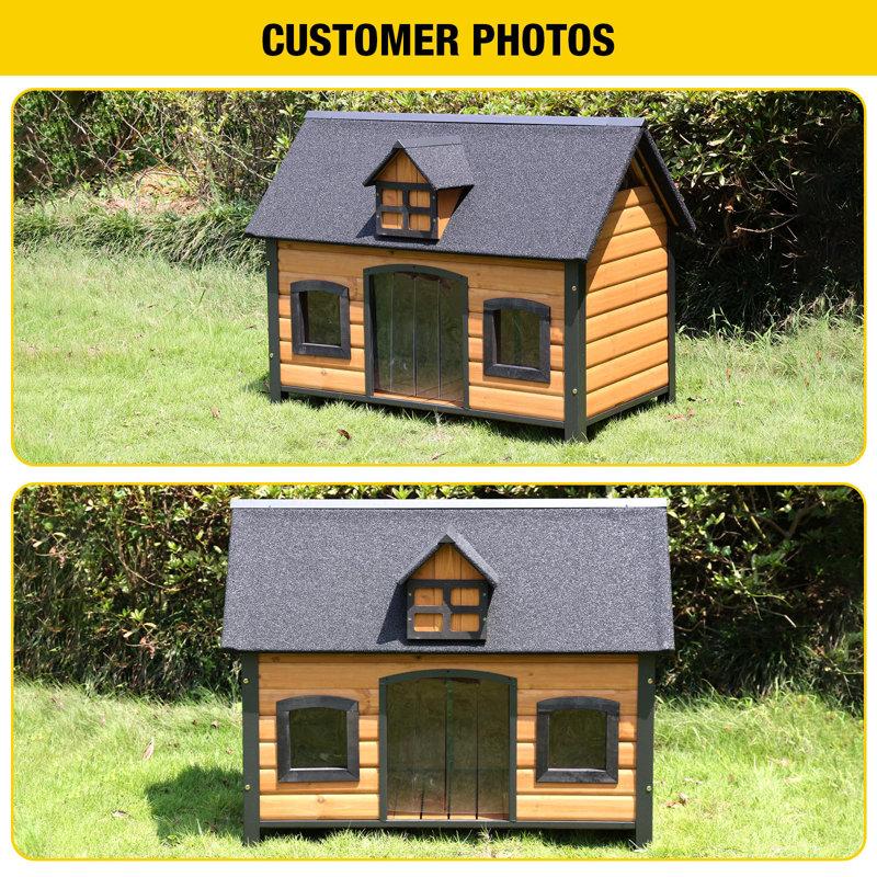 Wayfair Dietmute Igloo Style Dog House