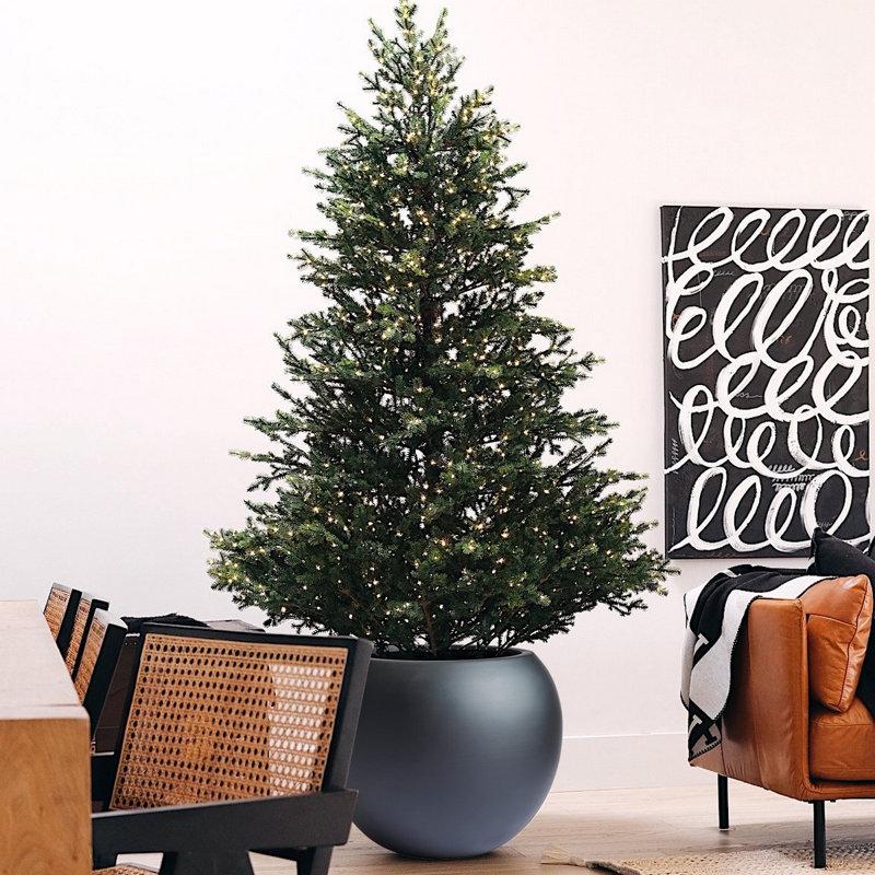 Wayfair Dorlis Fiberstone Pot Planter