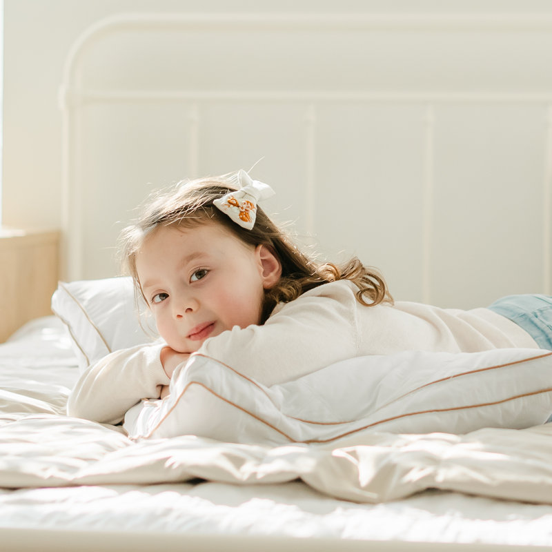 Wayfair Down Blend Medium Pillow (Set Of 2)