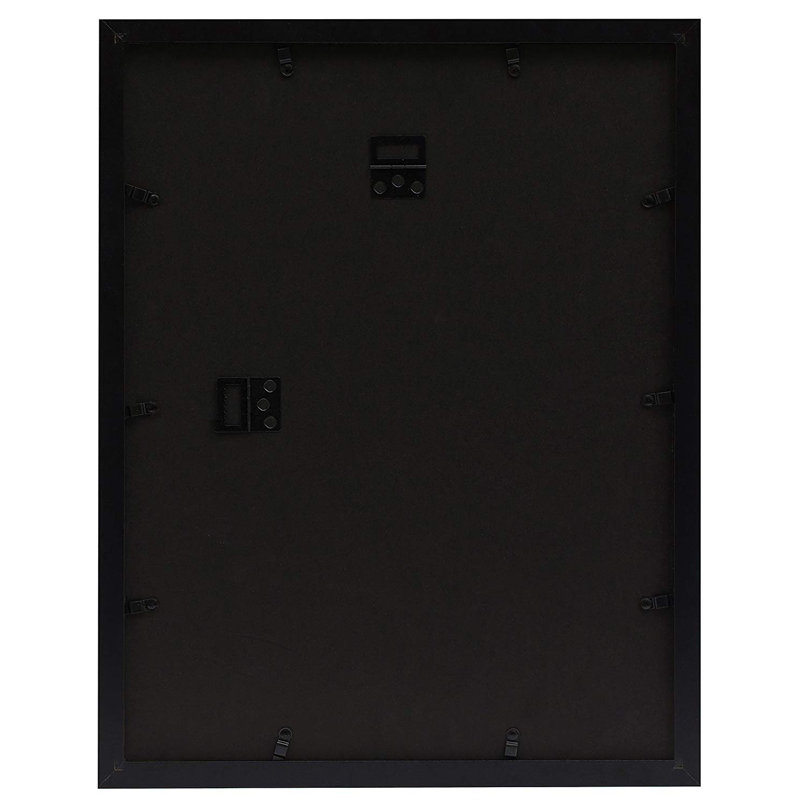 Wayfair Dreketi Matte Wood Single Picture Frame