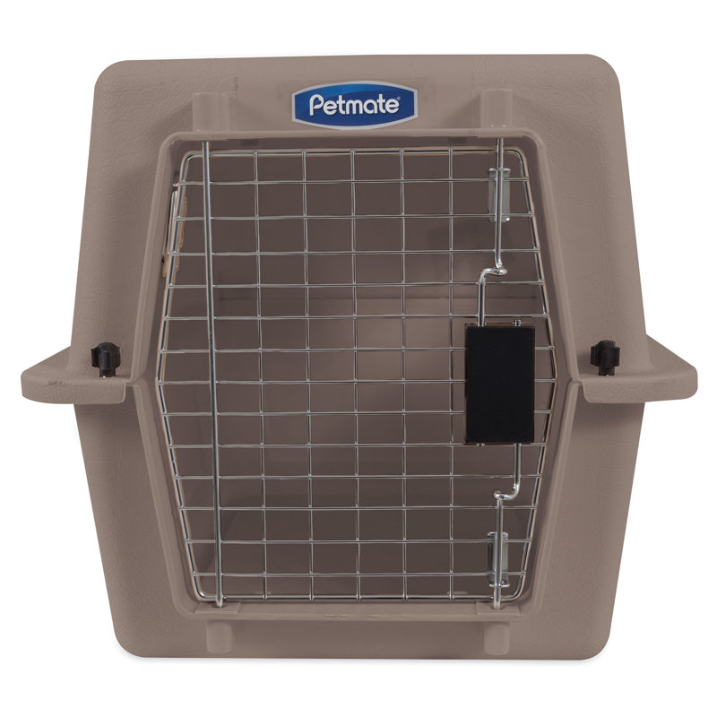 Wayfair Fashion Plastic Pet Carrier With 1 Door