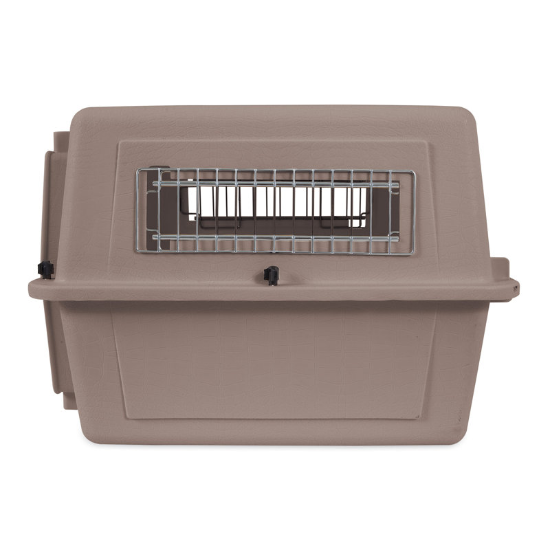 Wayfair Fashion Plastic Pet Carrier With 1 Door