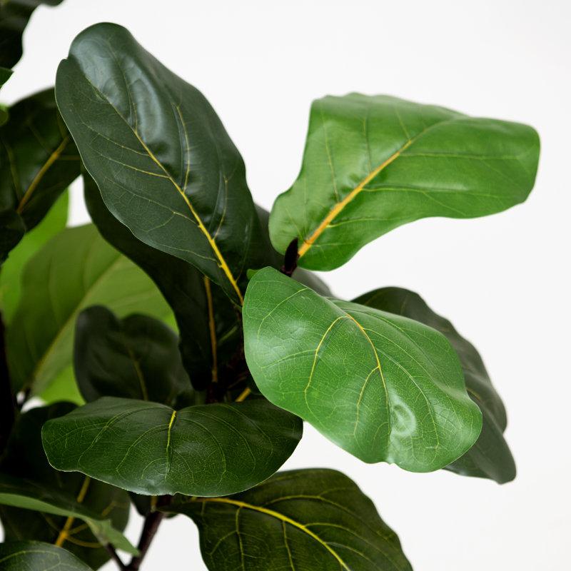 Wayfair Faux Fiddle Leaf Fig Plant