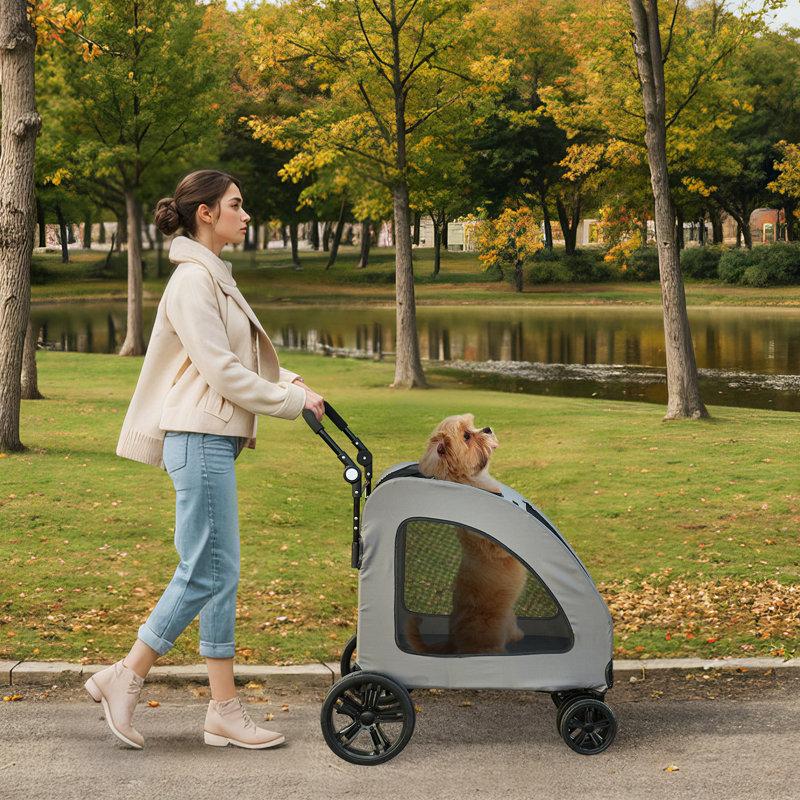 Wayfair Foldable Pet Stroller