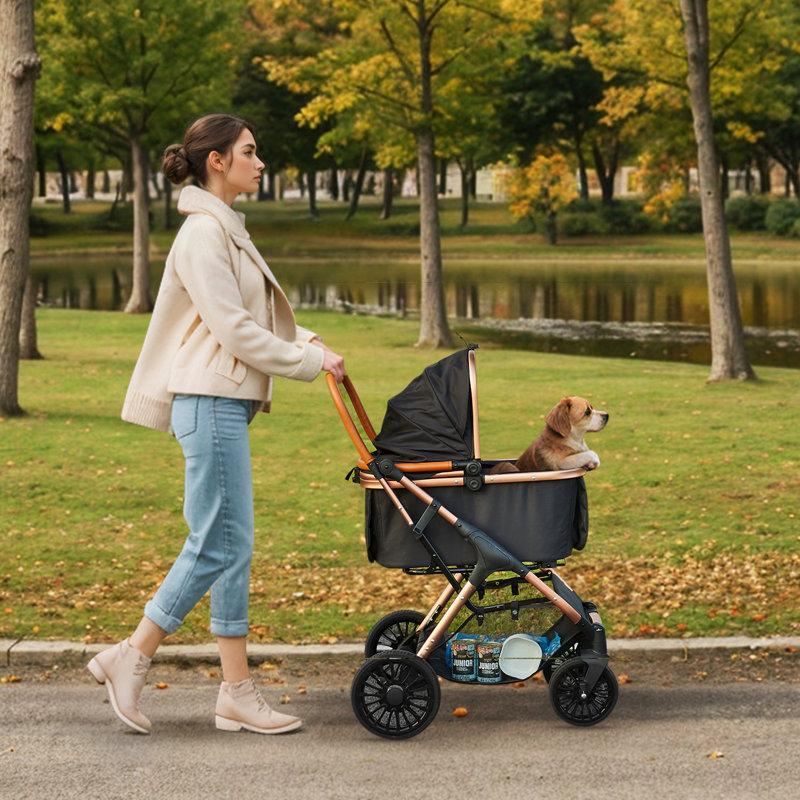 Wayfair Foldable Pet Stroller