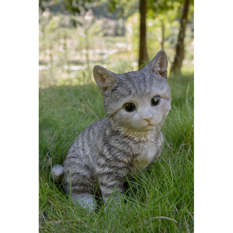Wayfair Head-Tilting Tabby Kitten Sitting