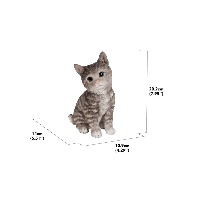 Wayfair Head-Tilting Tabby Kitten Sitting