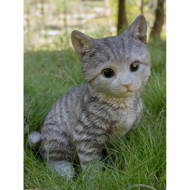 Wayfair Head-Tilting Tabby Kitten Sitting