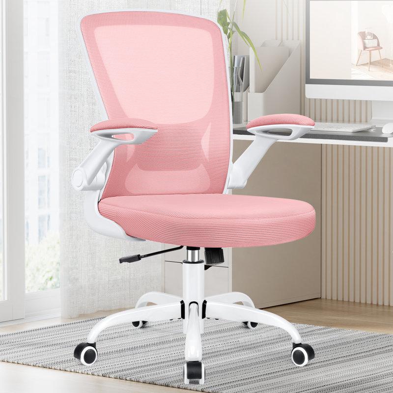 Wayfair Home Office Ergonomic Mesh Task Chair