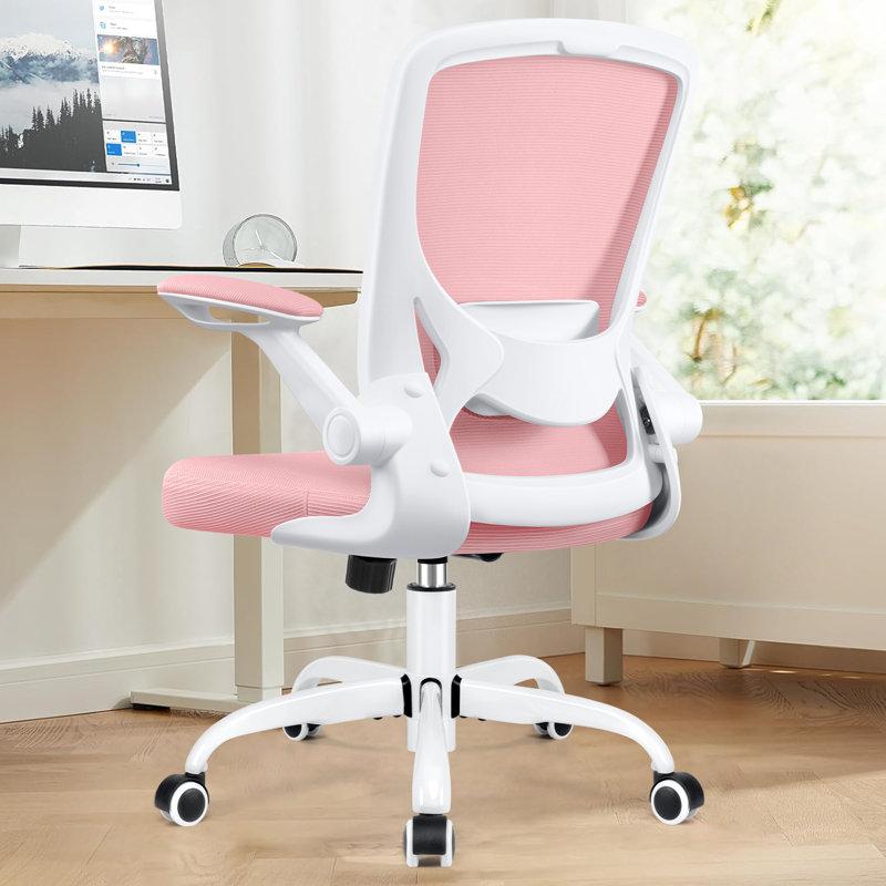 Wayfair Home Office Ergonomic Mesh Task Chair