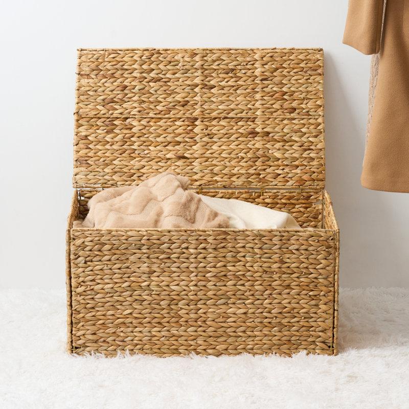 Wayfair Ludmilla Wicker Trunk