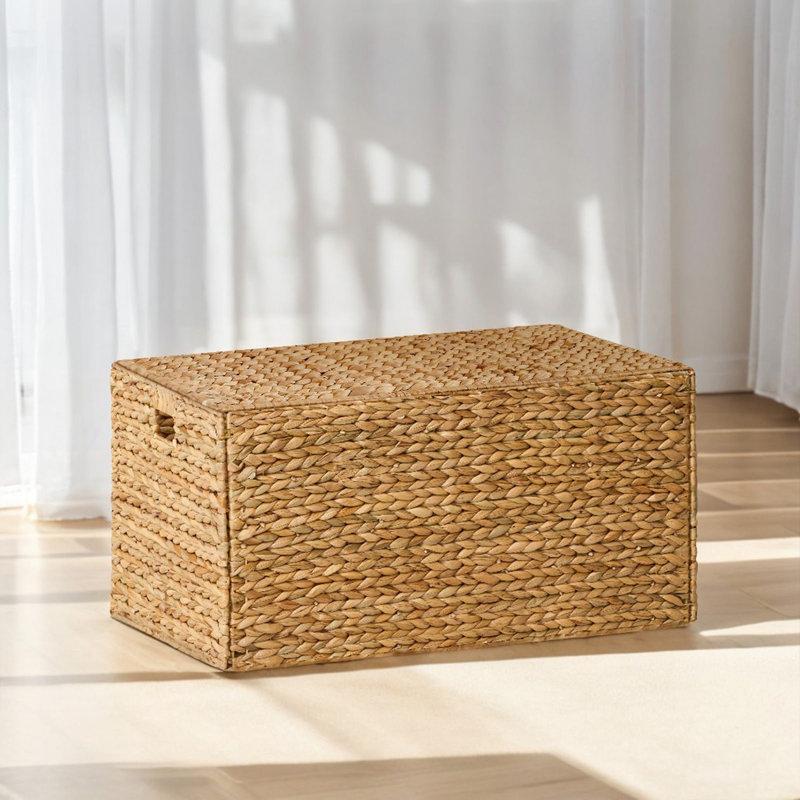 Wayfair Ludmilla Wicker Trunk
