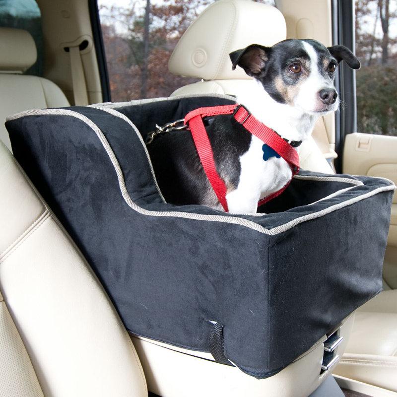 Wayfair Luxury Pet Carrier