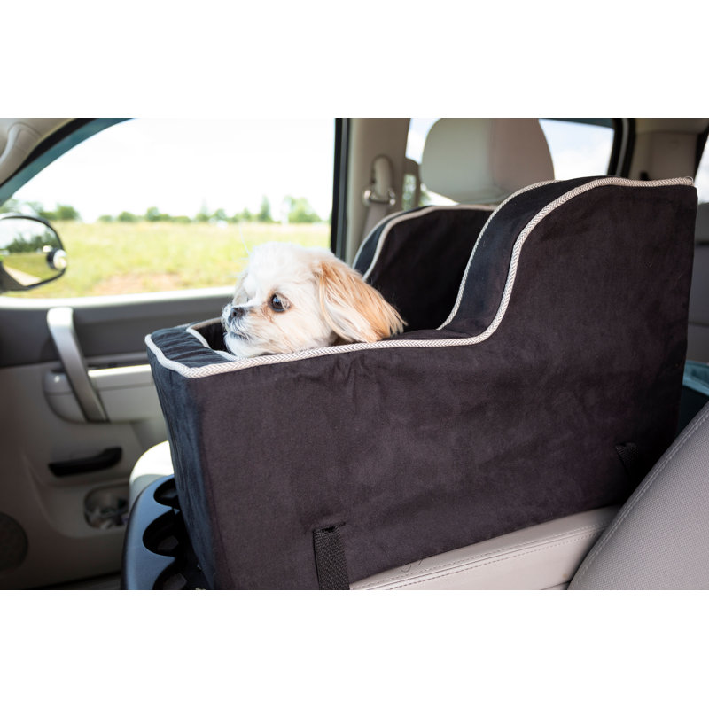 Wayfair Luxury Pet Carrier