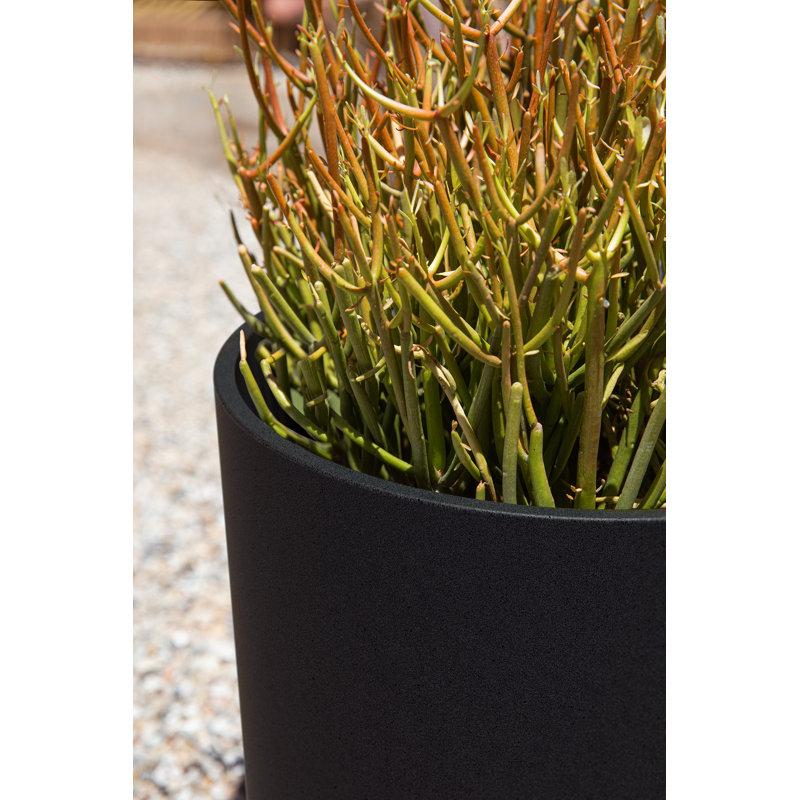 Wayfair Mason Series Kona Planter