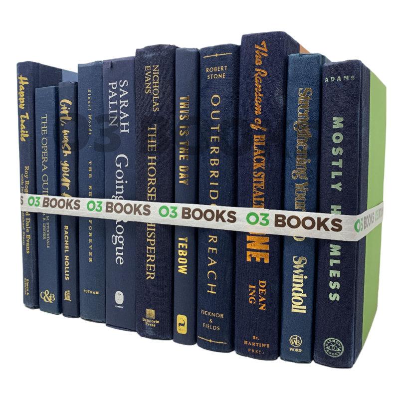 Wayfair Navy Blue Decorative Books