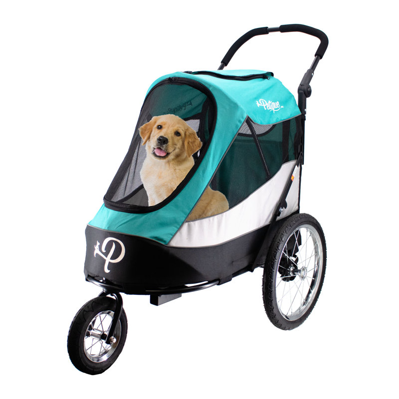 Wayfair Petique's Trailblazer Pet Jogger