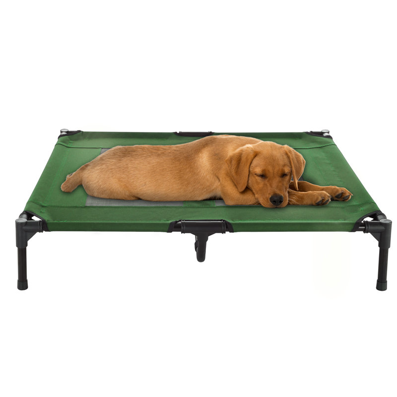 Wayfair PETMAKER Cot-Style Elevated Pet Bed
