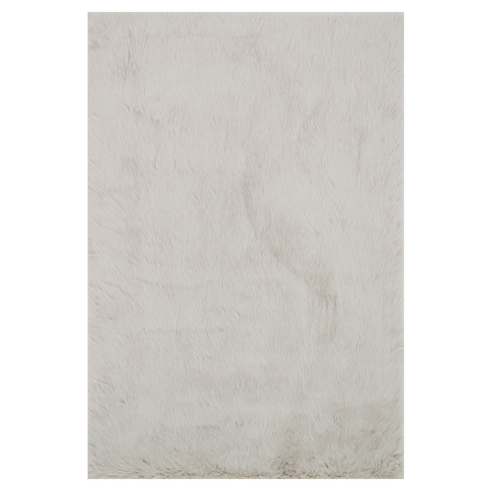 Wayfair Phang Washable Indoor Rug