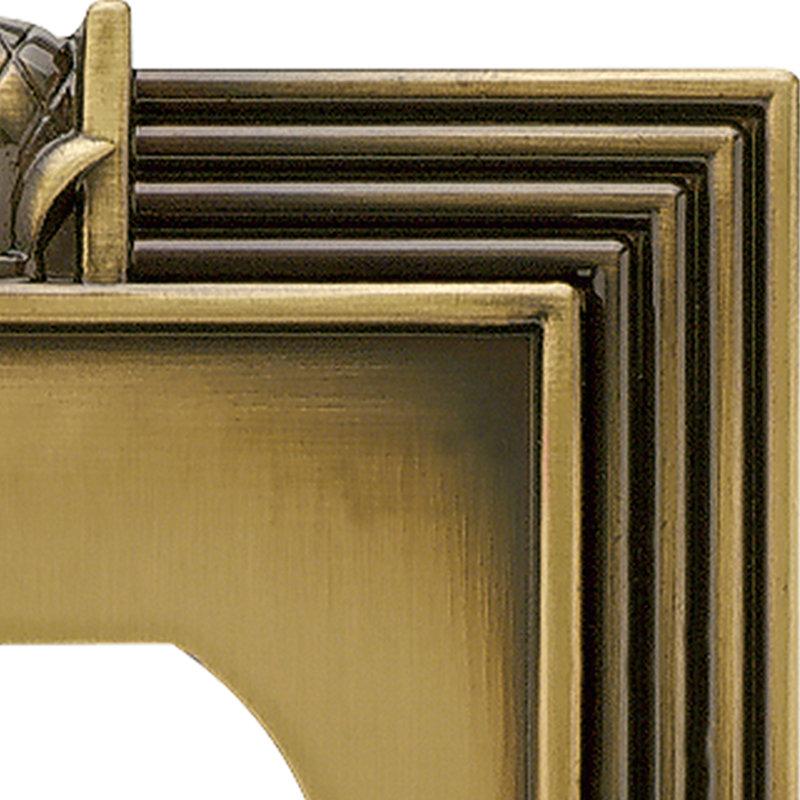 Wayfair Pineapple 1-Gang Duplex Outlet Wall Plate